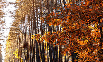新手必看！快手赞自助平台24小时可用，操作超简单