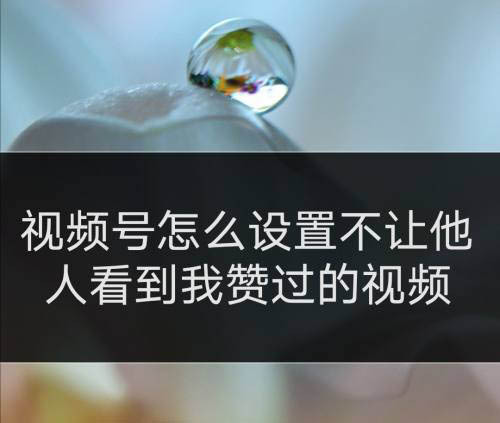 快手作品点赞自助1元100赞_快手作品点赞自助1元100赞_快手作品点赞自助1元100赞