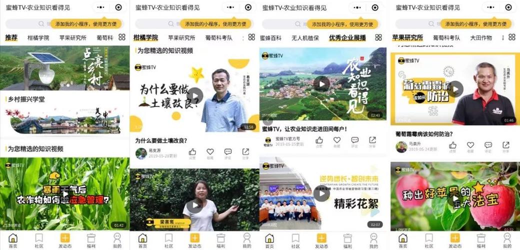 抖音点赞粉背后的秘密_短视频点赞心路历程_快手双击平台ks下单-稳定