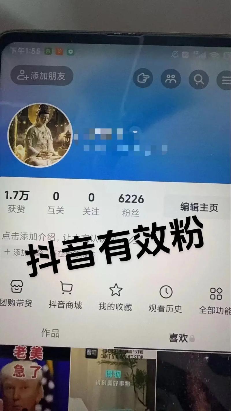 快手抖音平台粉丝便宜_快手一元购真实活跃粉丝_如何低成本获取快手真实粉丝