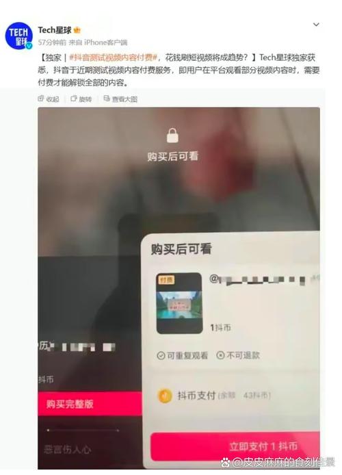 抖音短剧付费模式_快手短剧付费服务_快手一元一千赞